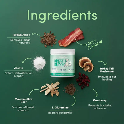 Breath Buddy Dental + Probiotic Scoops