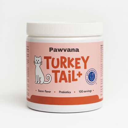 Turkey Tail Immune Support for Cats