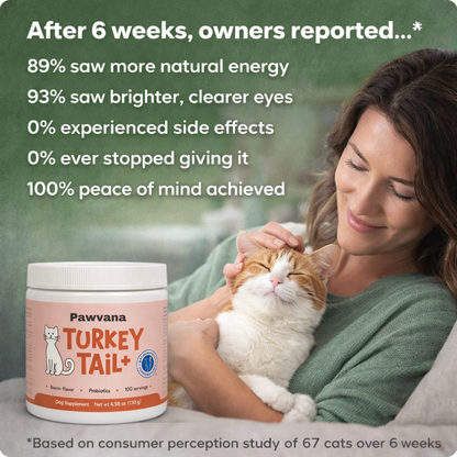 Turkey Tail Immune Support for Cats